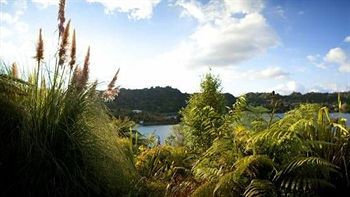 Solitaire Rotorua